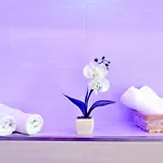 Zur Alten Schmiede Naumburg (Saale)