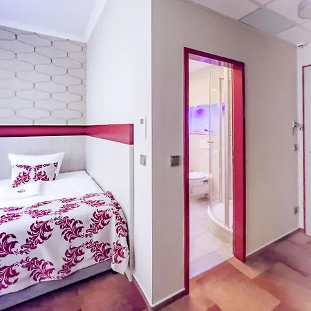 祖尔阿尔滕施米尔德酒店 萨勒河畔瑙姆堡