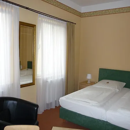 酒店 祖尔阿尔滕施米尔德酒店 萨勒河畔瑙姆堡