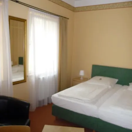 祖尔阿尔滕施米尔德酒店 4*