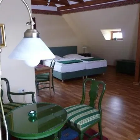 祖尔阿尔滕施米尔德酒店 萨勒河畔瑙姆堡