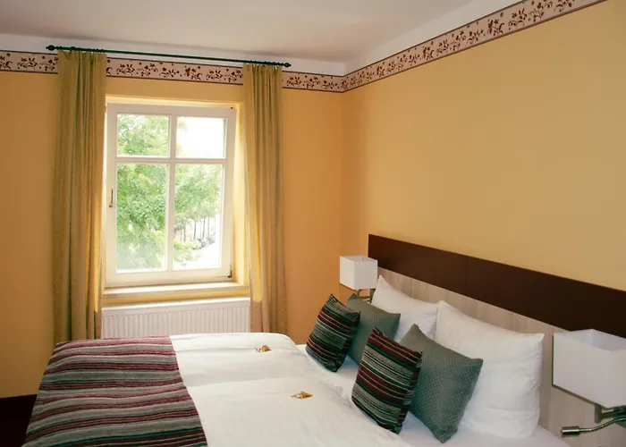 酒店 祖尔阿尔滕施米尔德酒店 萨勒河畔瑙姆堡