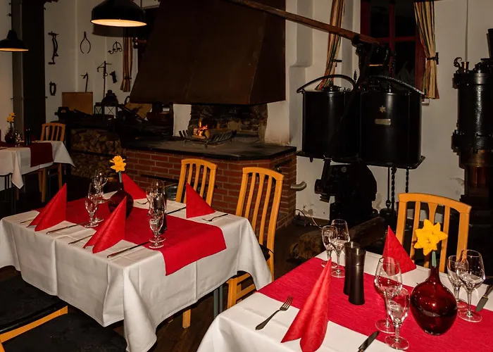 祖尔阿尔滕施米尔德酒店 酒店 4*