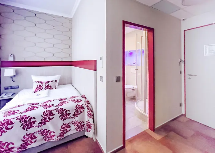 祖尔阿尔滕施米尔德酒店 萨勒河畔瑙姆堡