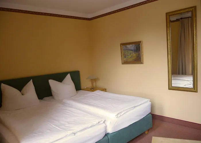 ホテル ツア アルテン シュミーデ ナウムブルク