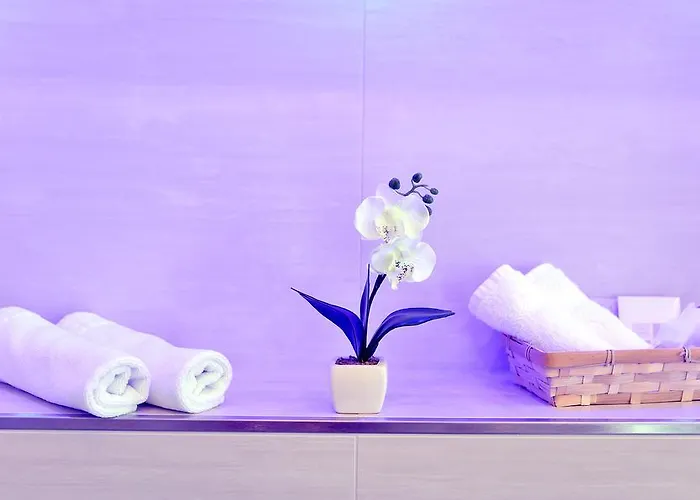 祖尔阿尔滕施米尔德酒店 萨勒河畔瑙姆堡