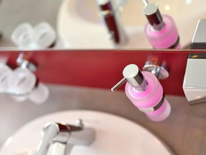 祖尔阿尔滕施米尔德酒店 4* 萨勒河畔瑙姆堡