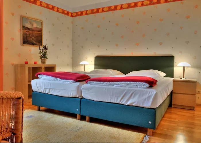 祖尔阿尔滕施米尔德酒店 酒店 4*