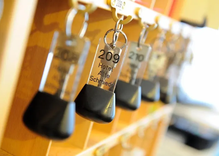 祖尔阿尔滕施米尔德酒店 萨勒河畔瑙姆堡